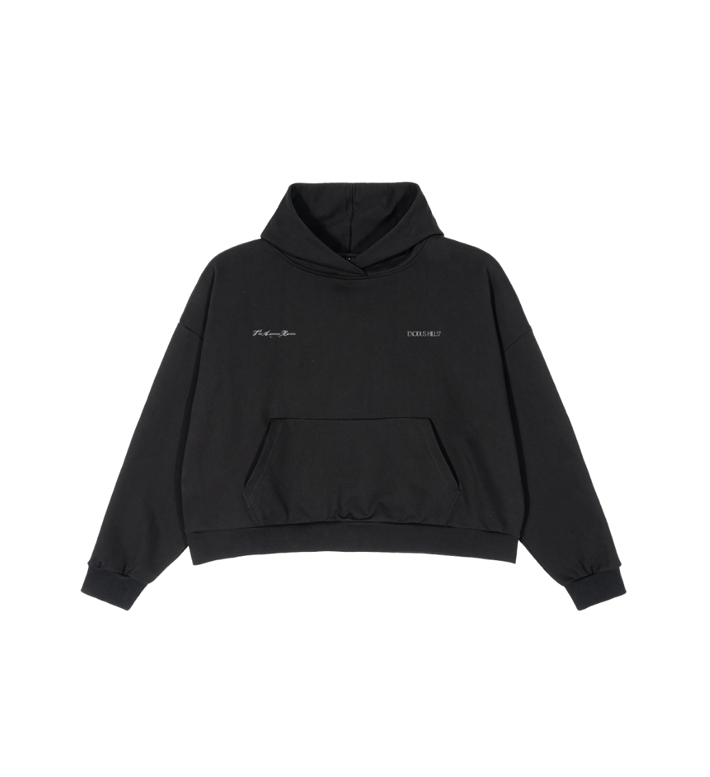 "THE AMERICAN RIVIERA" HOODIE